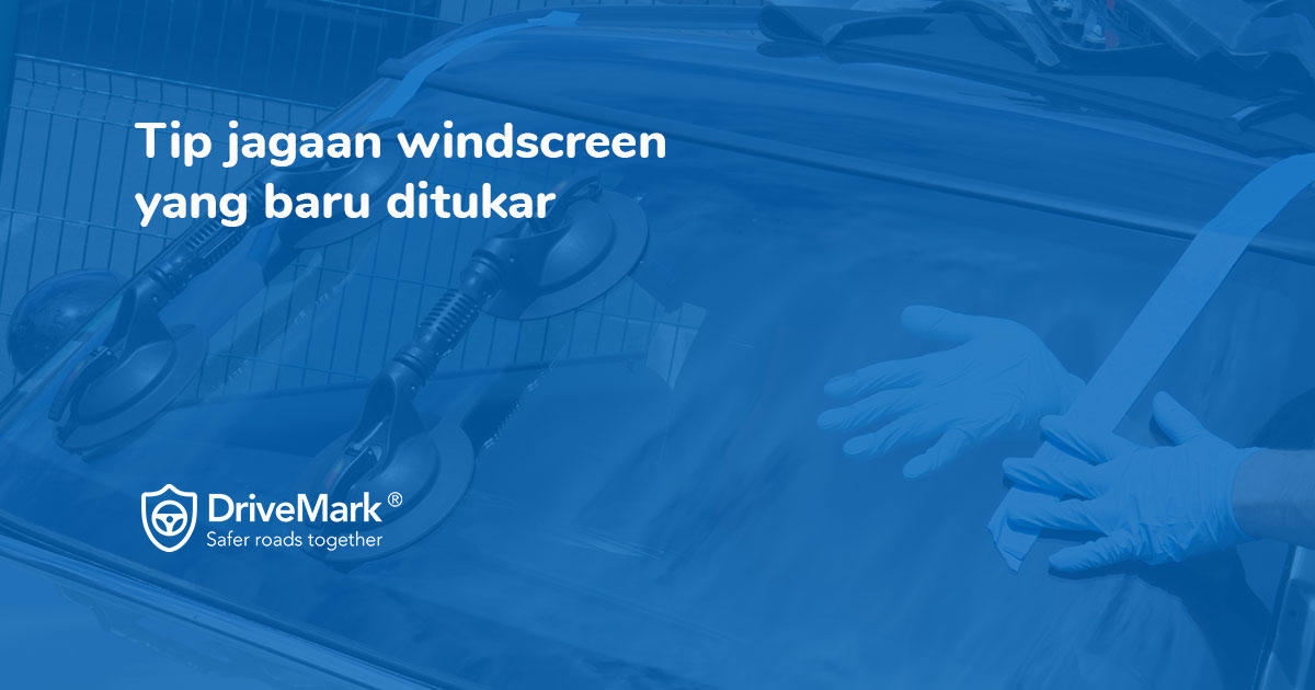 Windscreen Care Guide